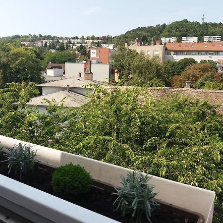 Appartement Malnas Macska Apartman à Szekszárd Extérieur photo