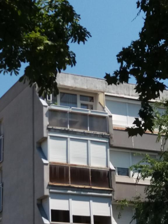 Appartement Malnas Macska Apartman à Szekszárd Extérieur photo