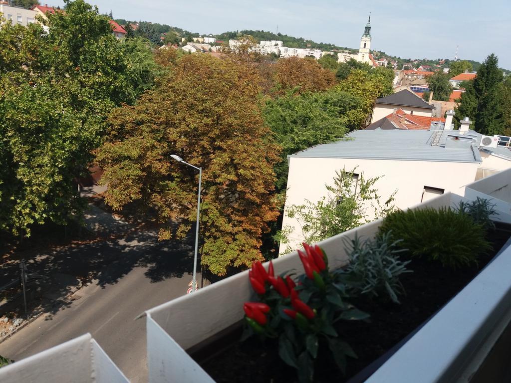 Appartement Malnas Macska Apartman à Szekszárd Extérieur photo